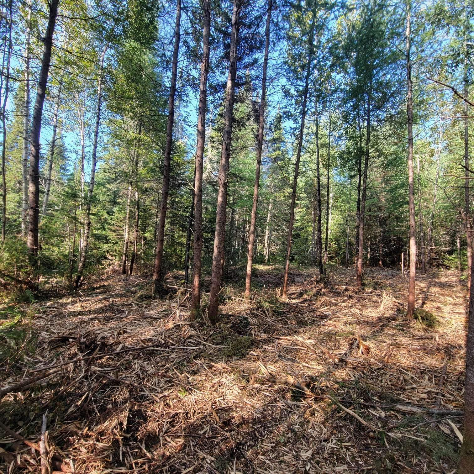 Land/Lot
