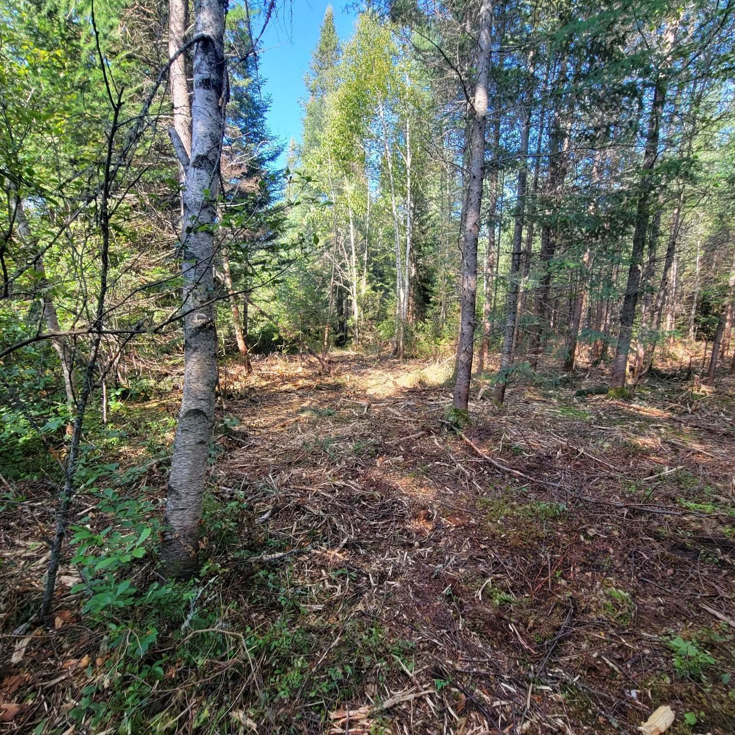 Land/Lot