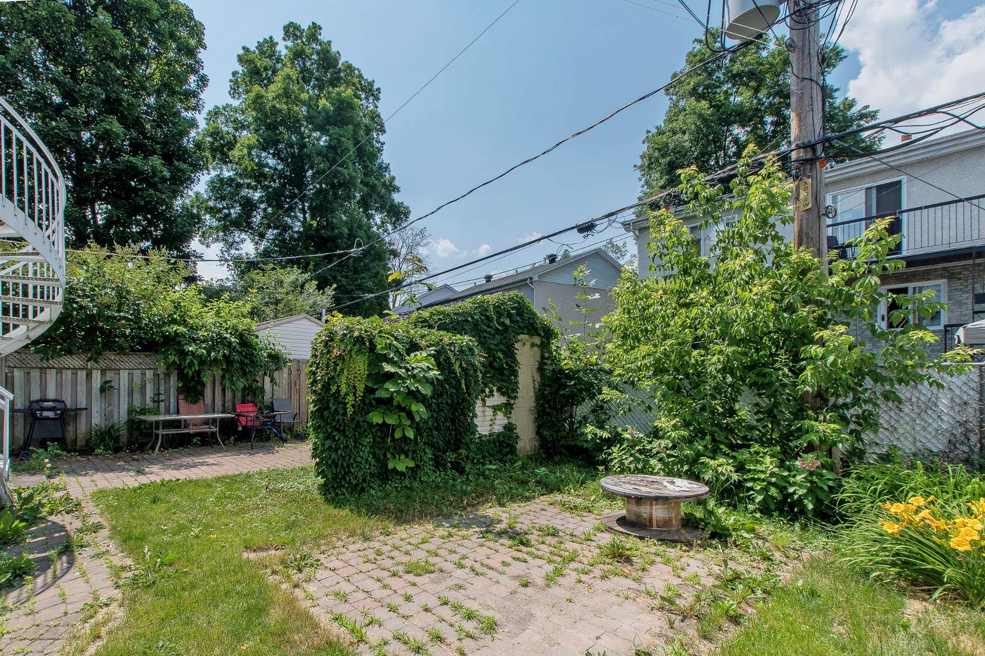 Backyard