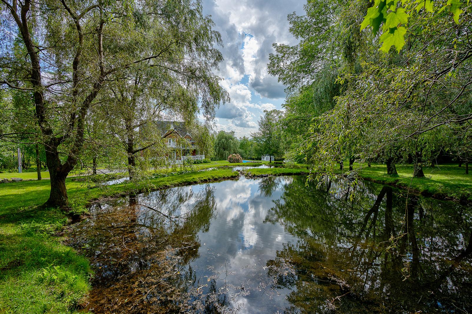 Vue sur l'eau