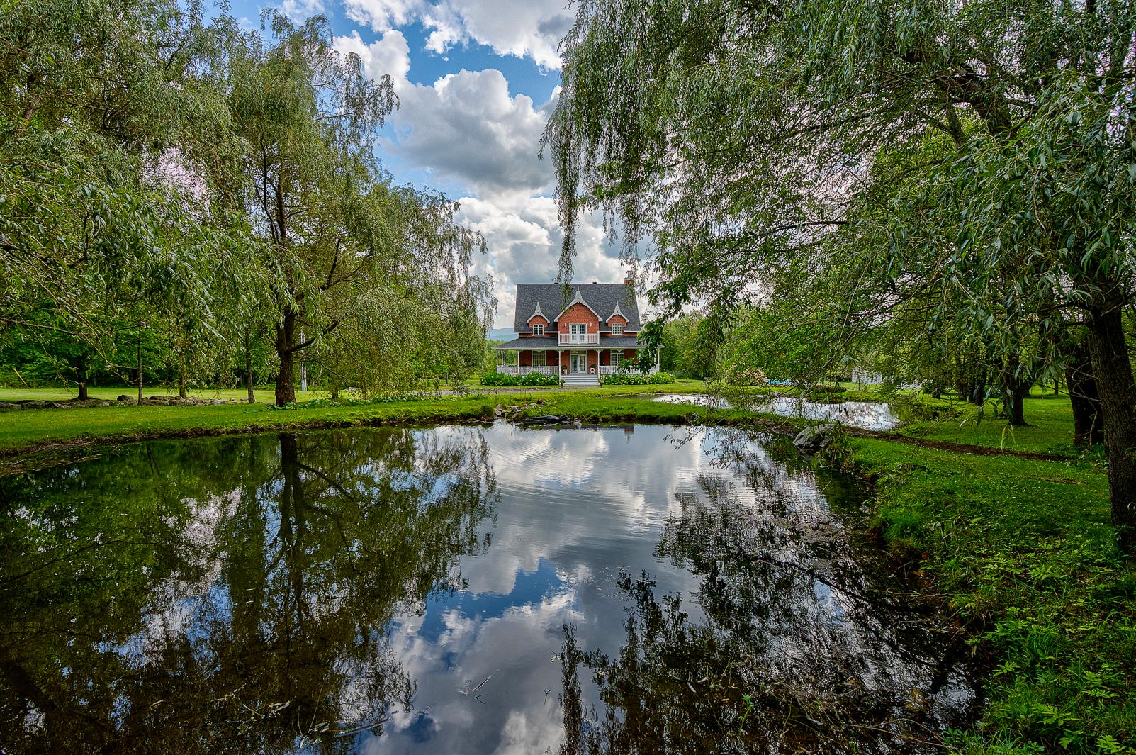 Vue sur l'eau