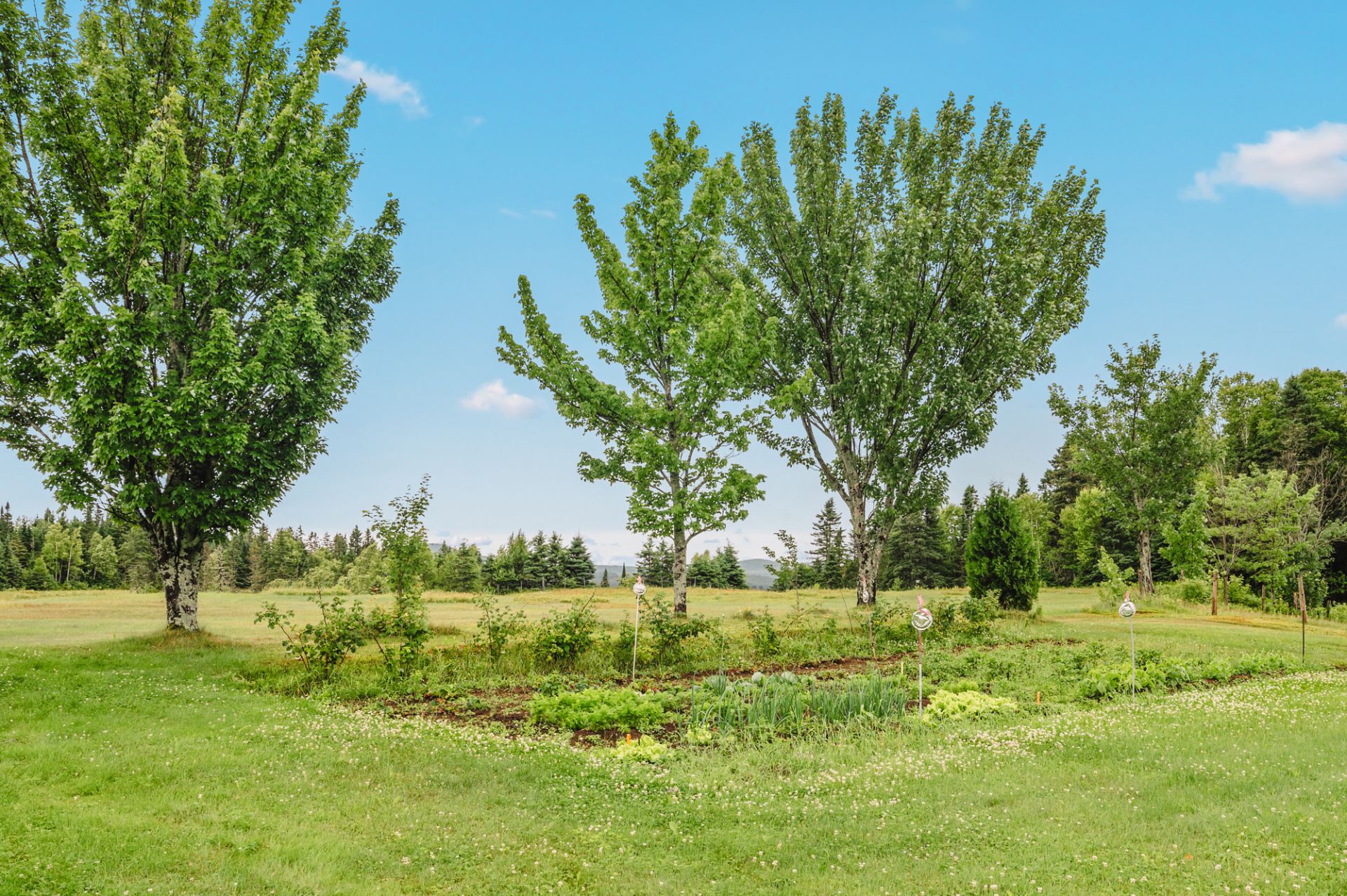 Jardin