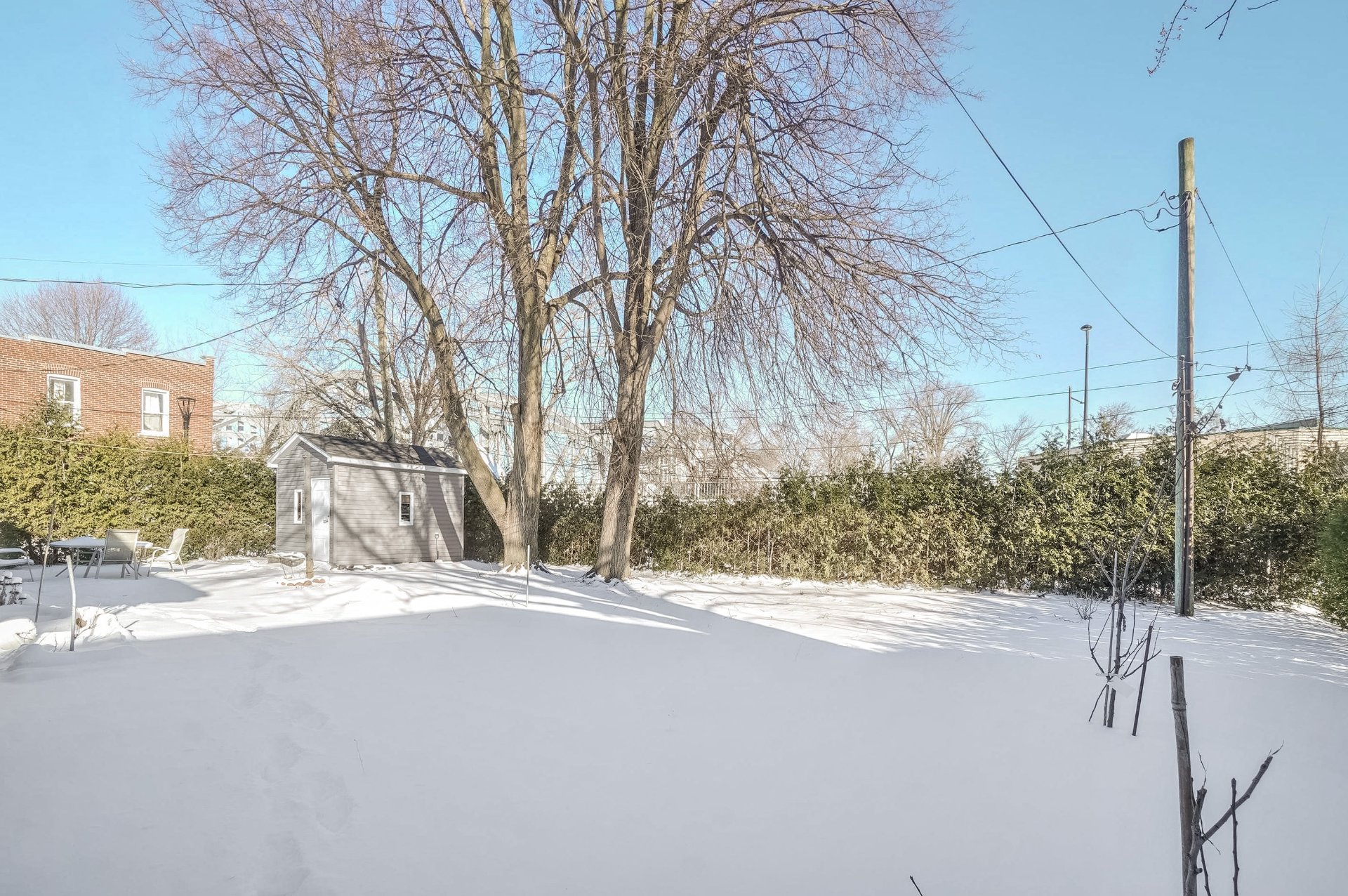 Backyard