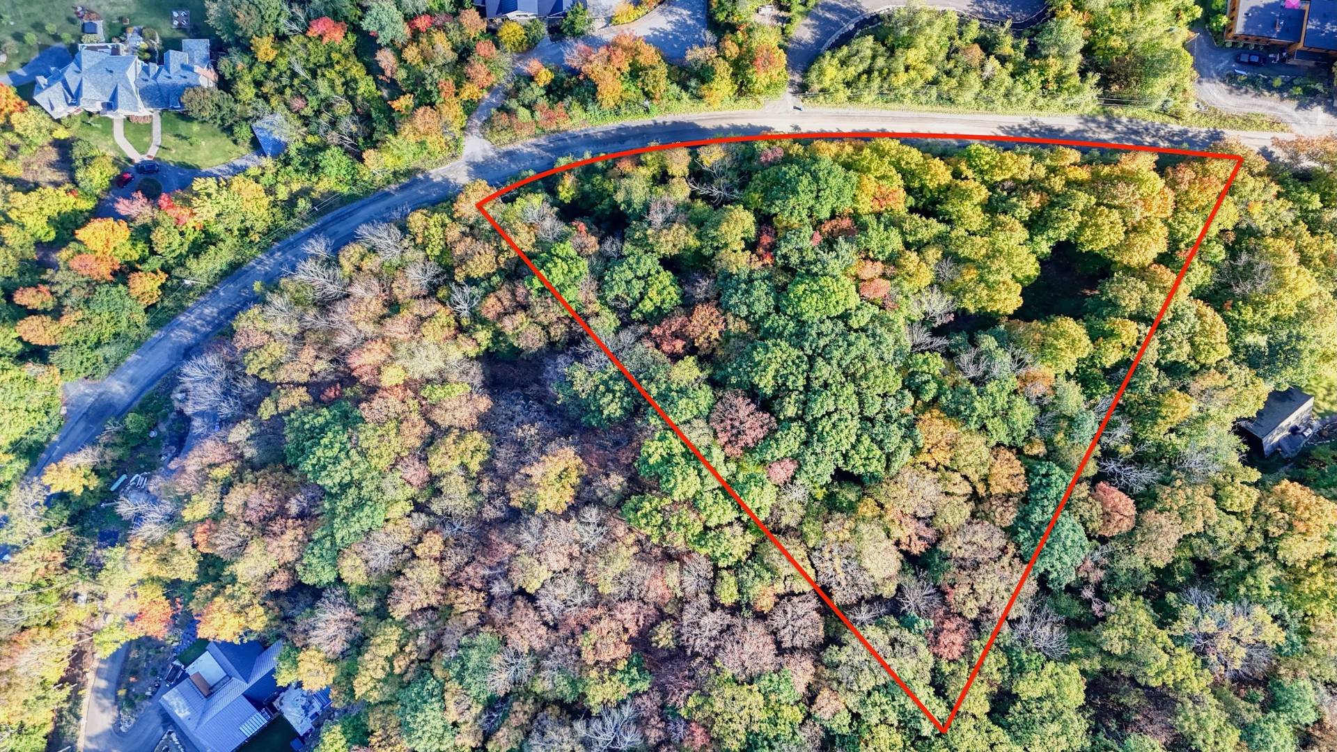 Aerial photo