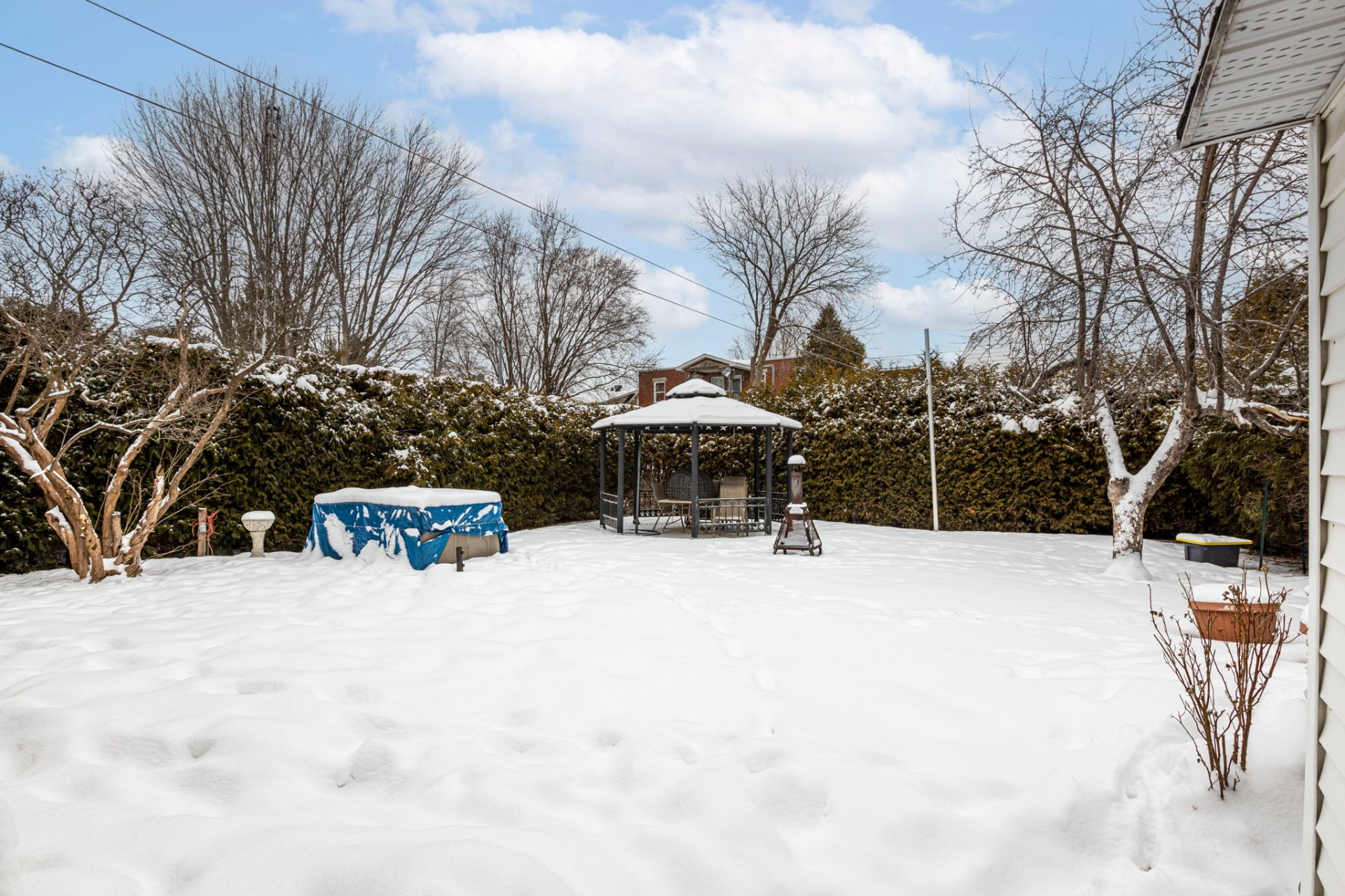 Backyard