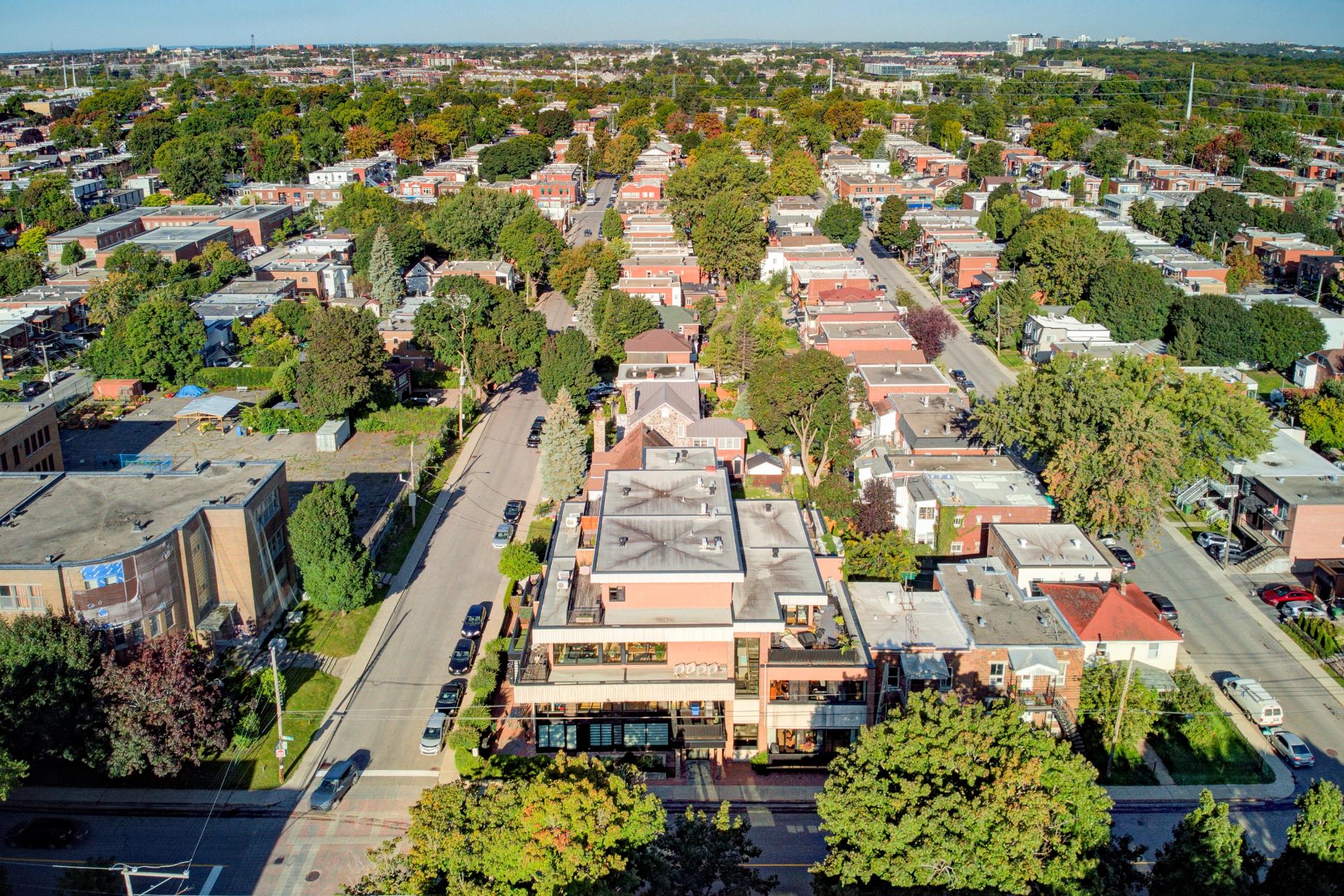 Vue