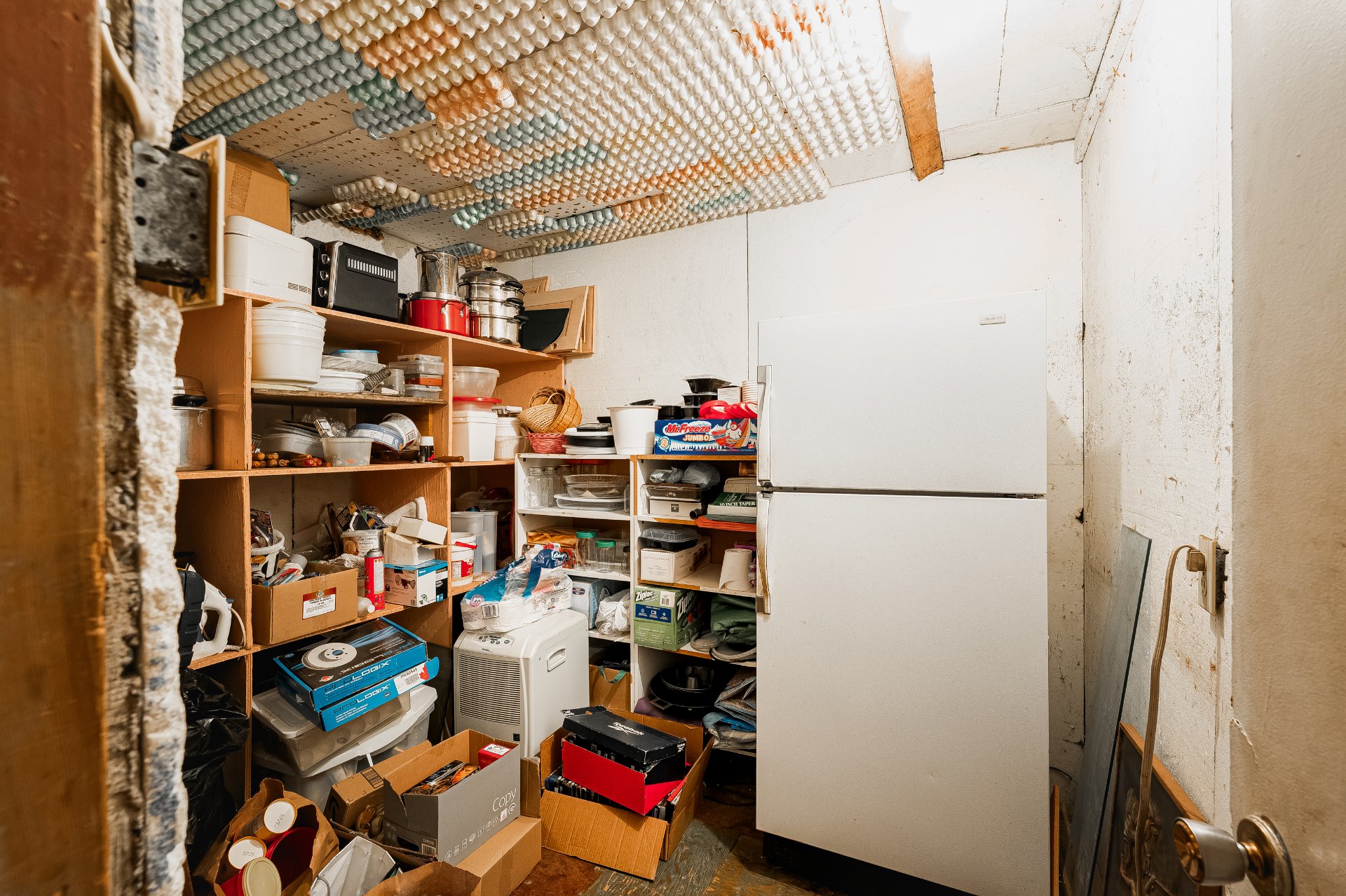 Cellar / Cold room