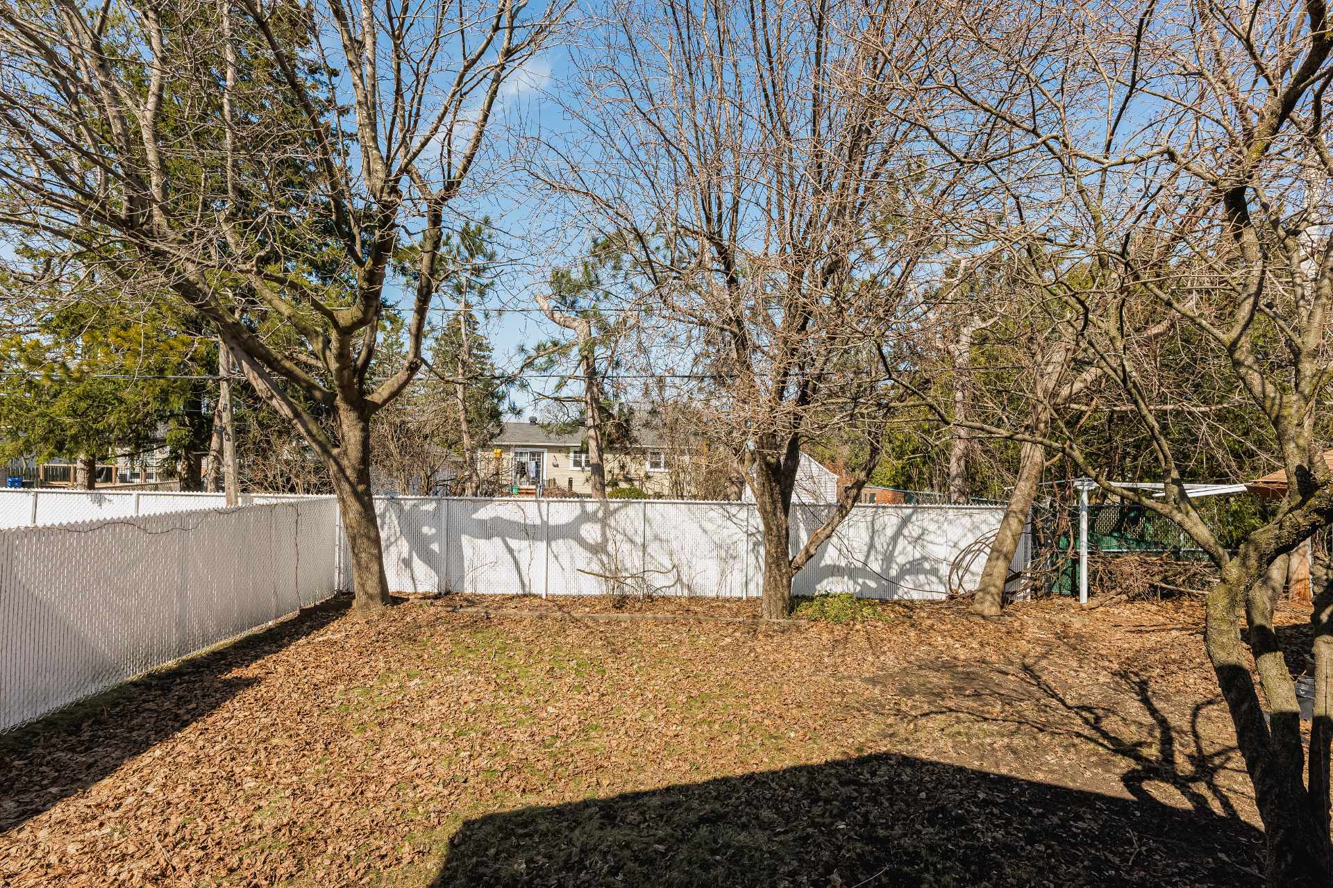 Backyard