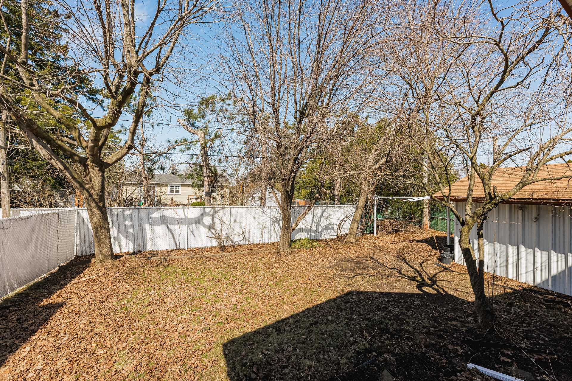 Backyard