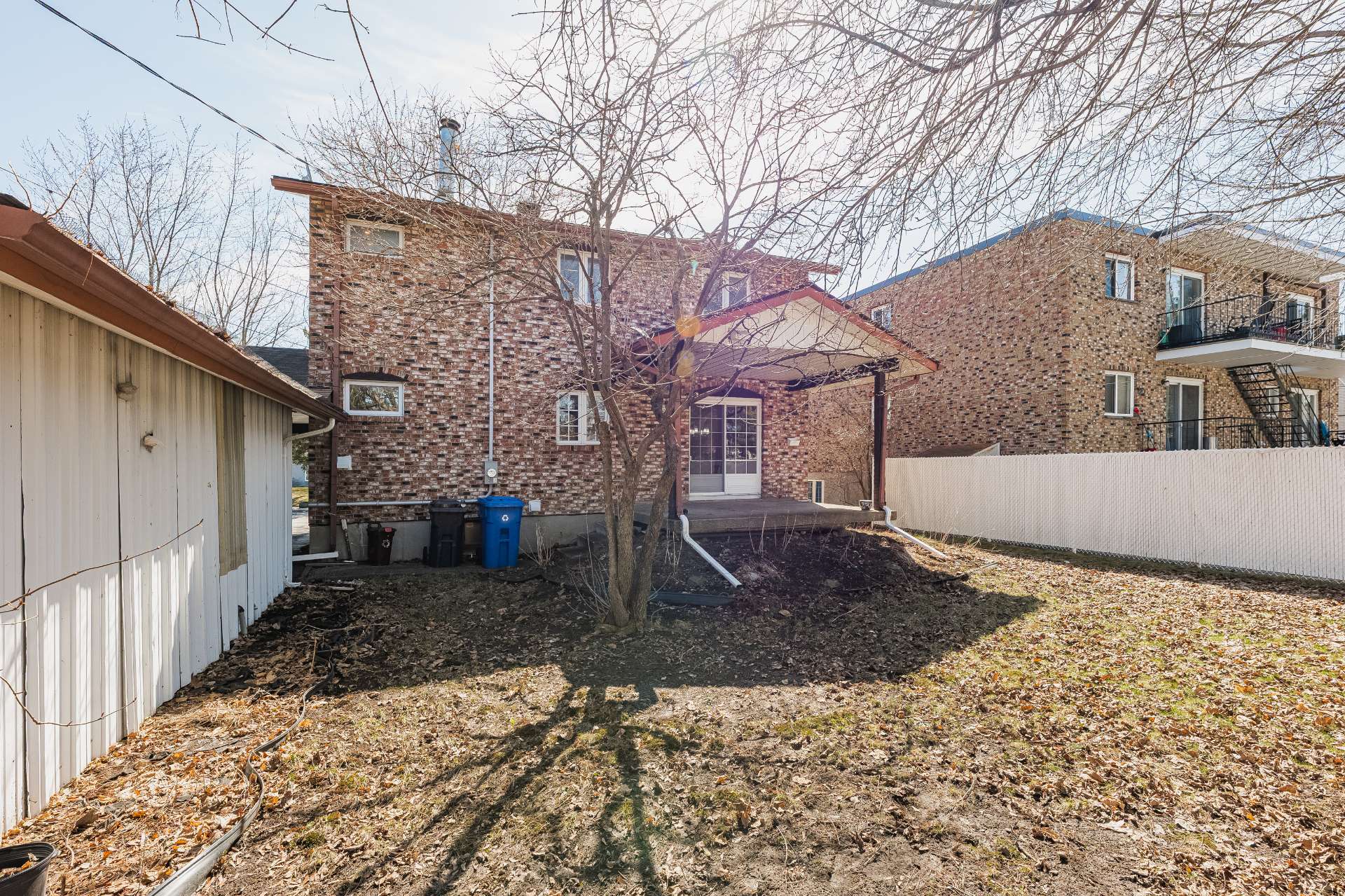 Backyard