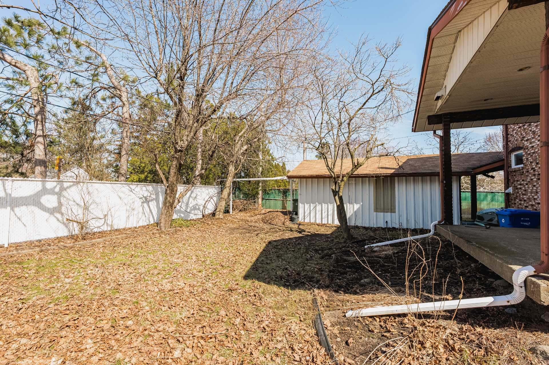 Backyard