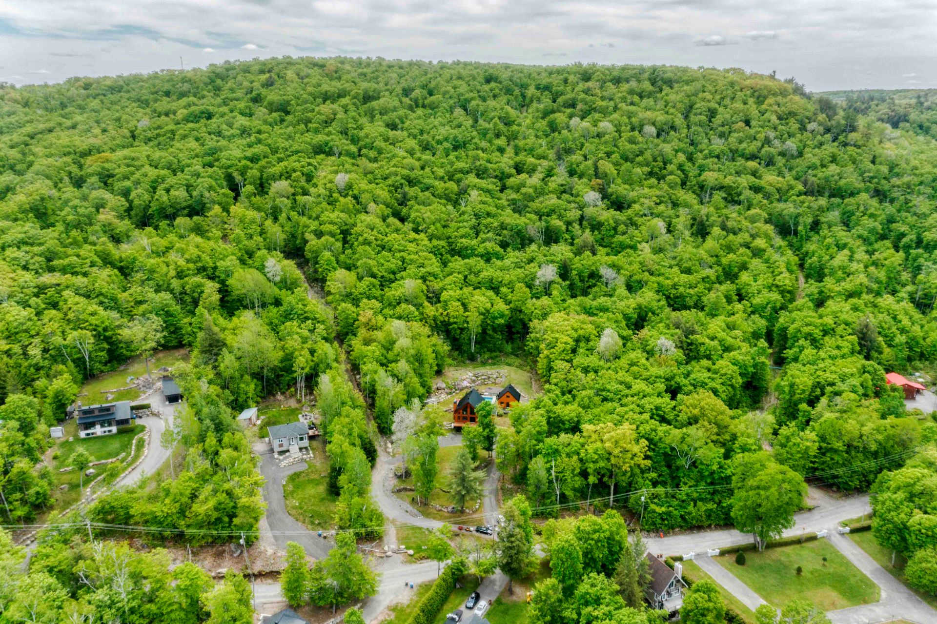 Photo - Aerial photo