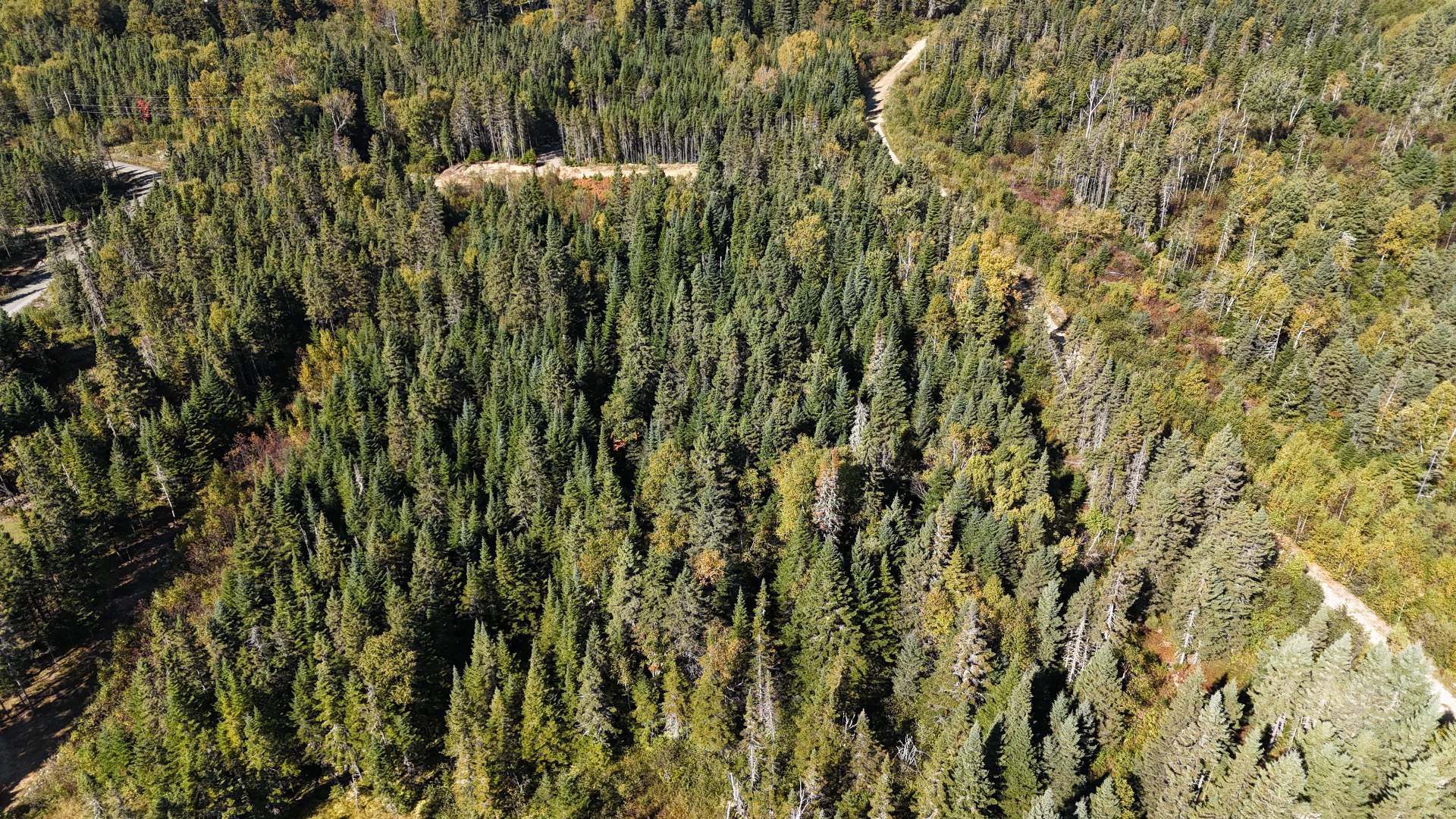 Vue d'ensemble