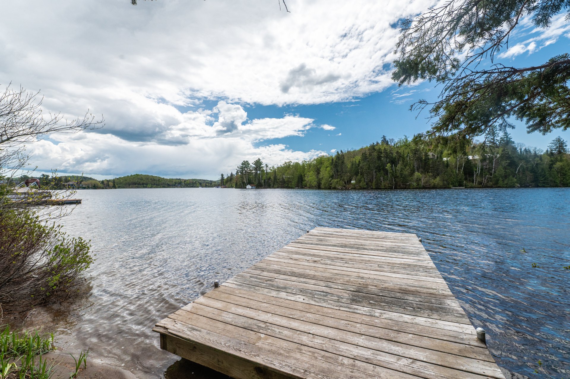 Photo - Bord de l'eau