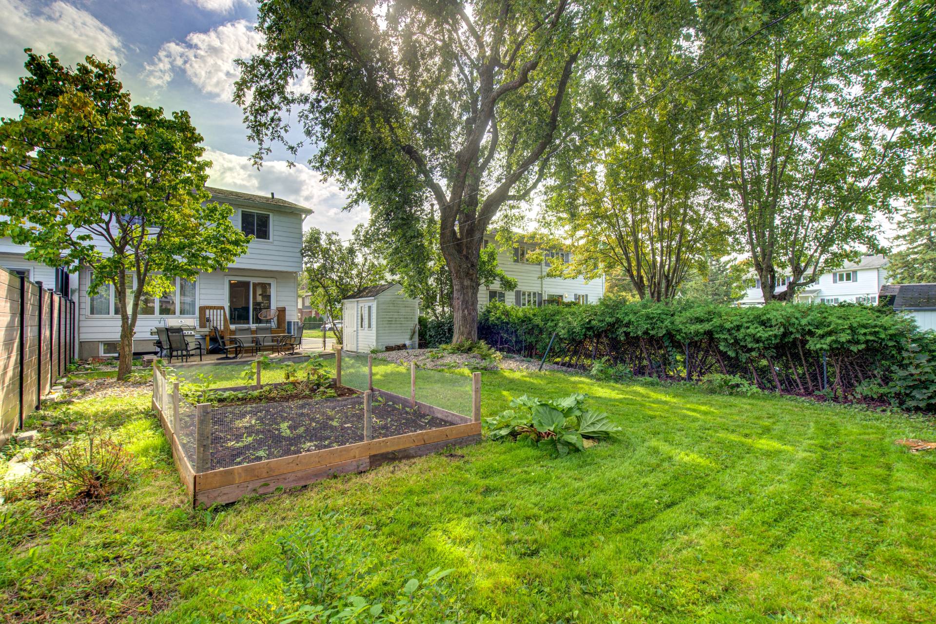 Backyard