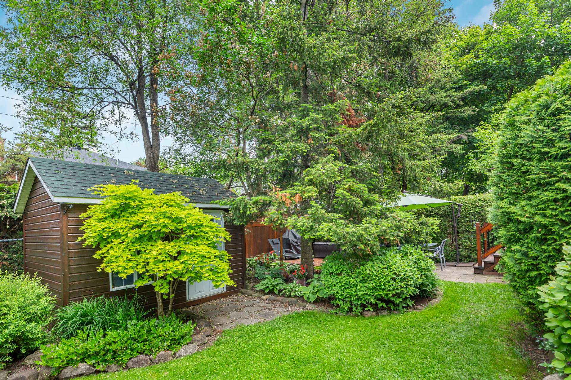 Backyard