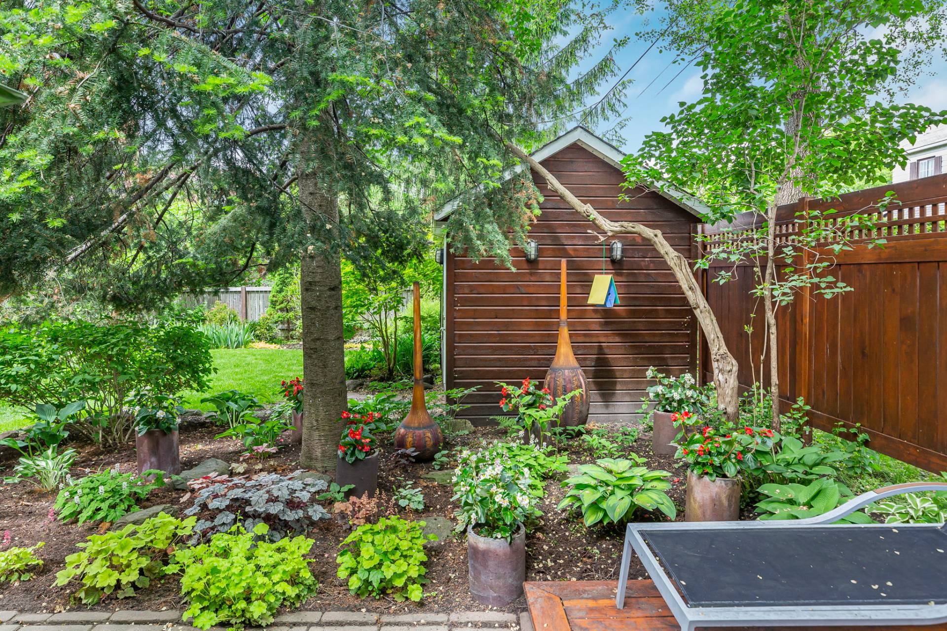 Backyard