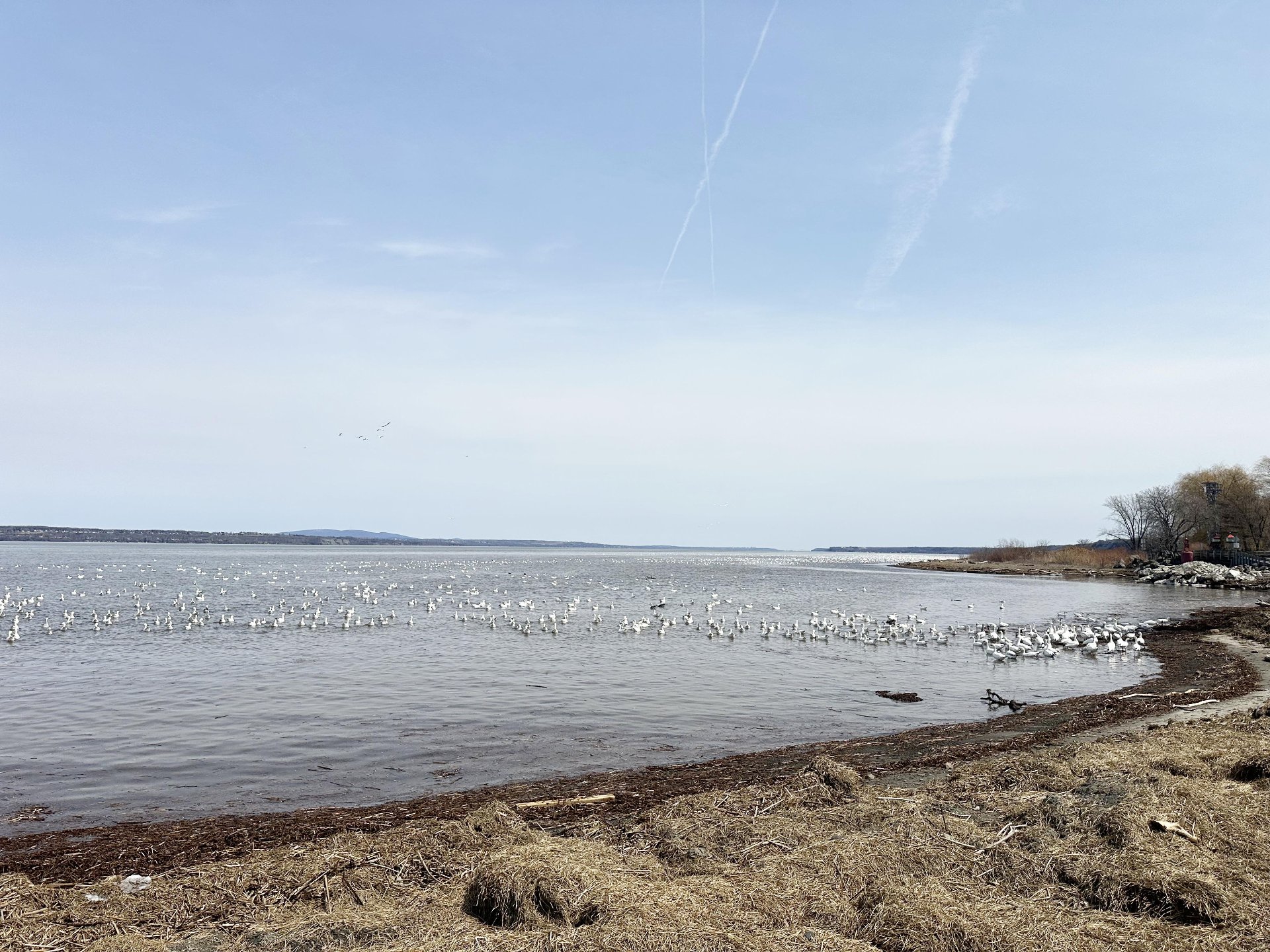 Vue sur l'eau