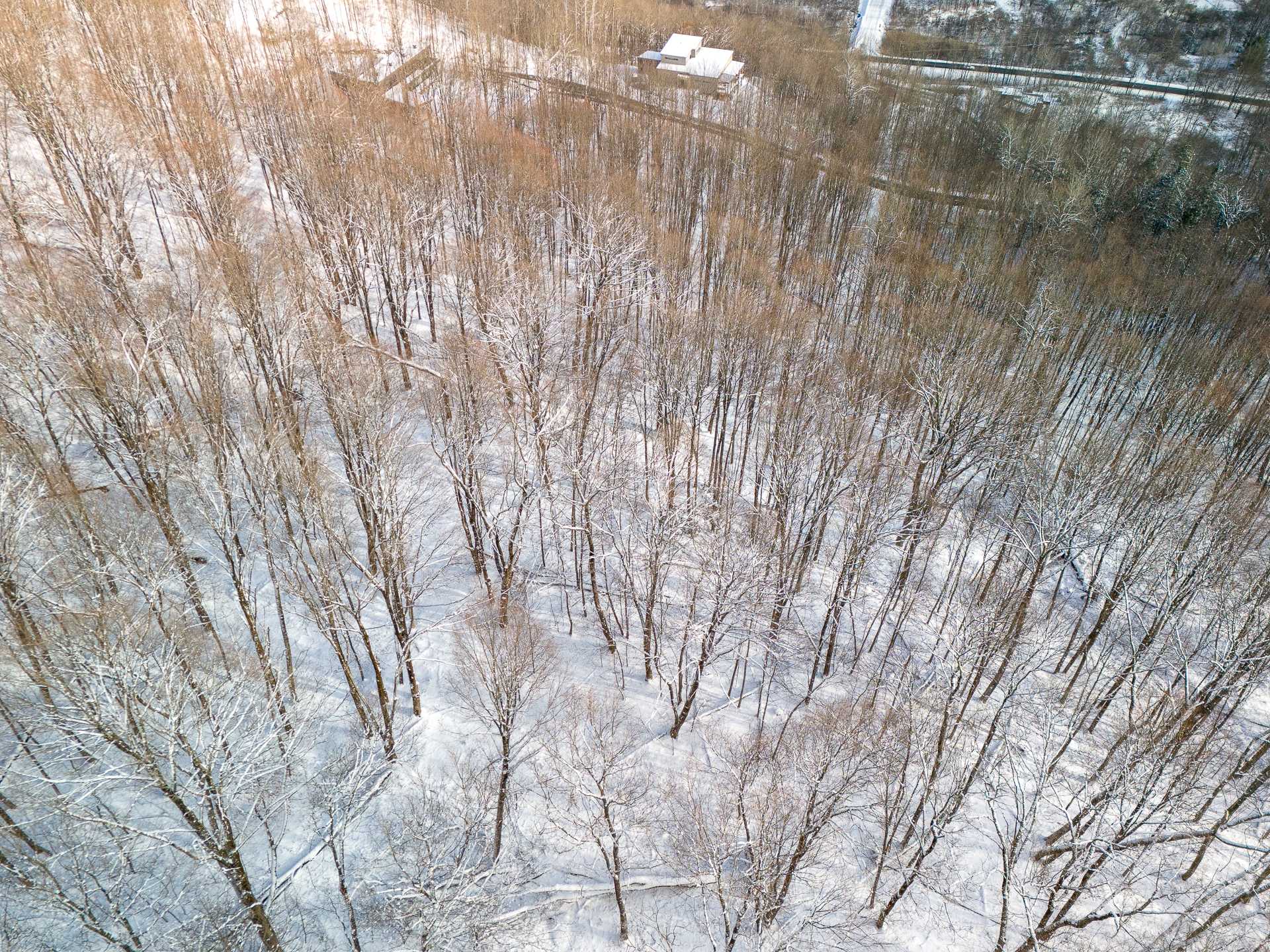Photo - Vue d'ensemble