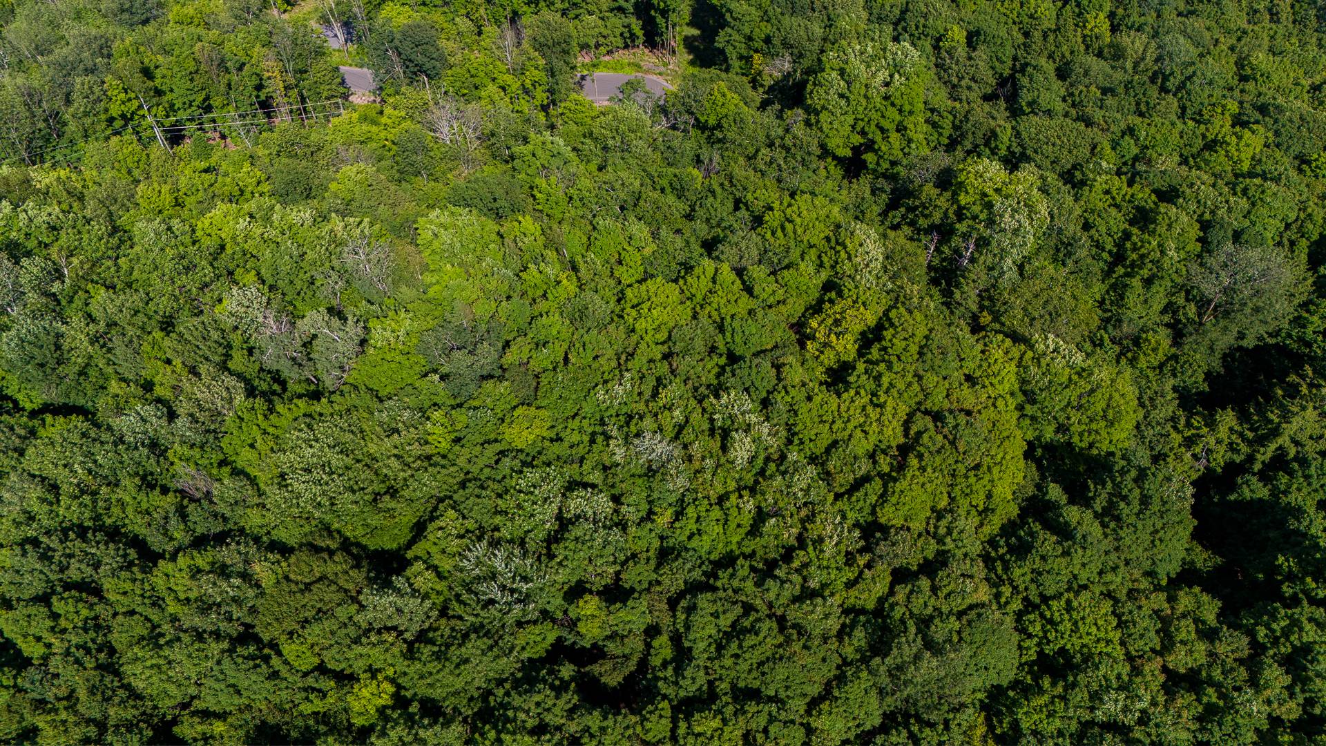 Photo - Vue d'ensemble