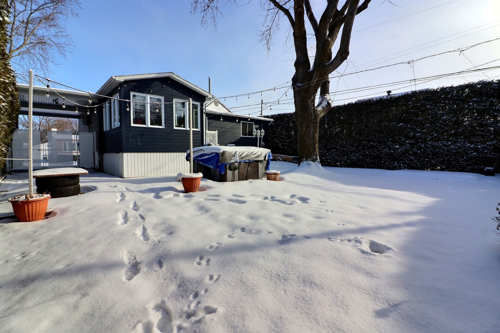 Photo - Face arrière