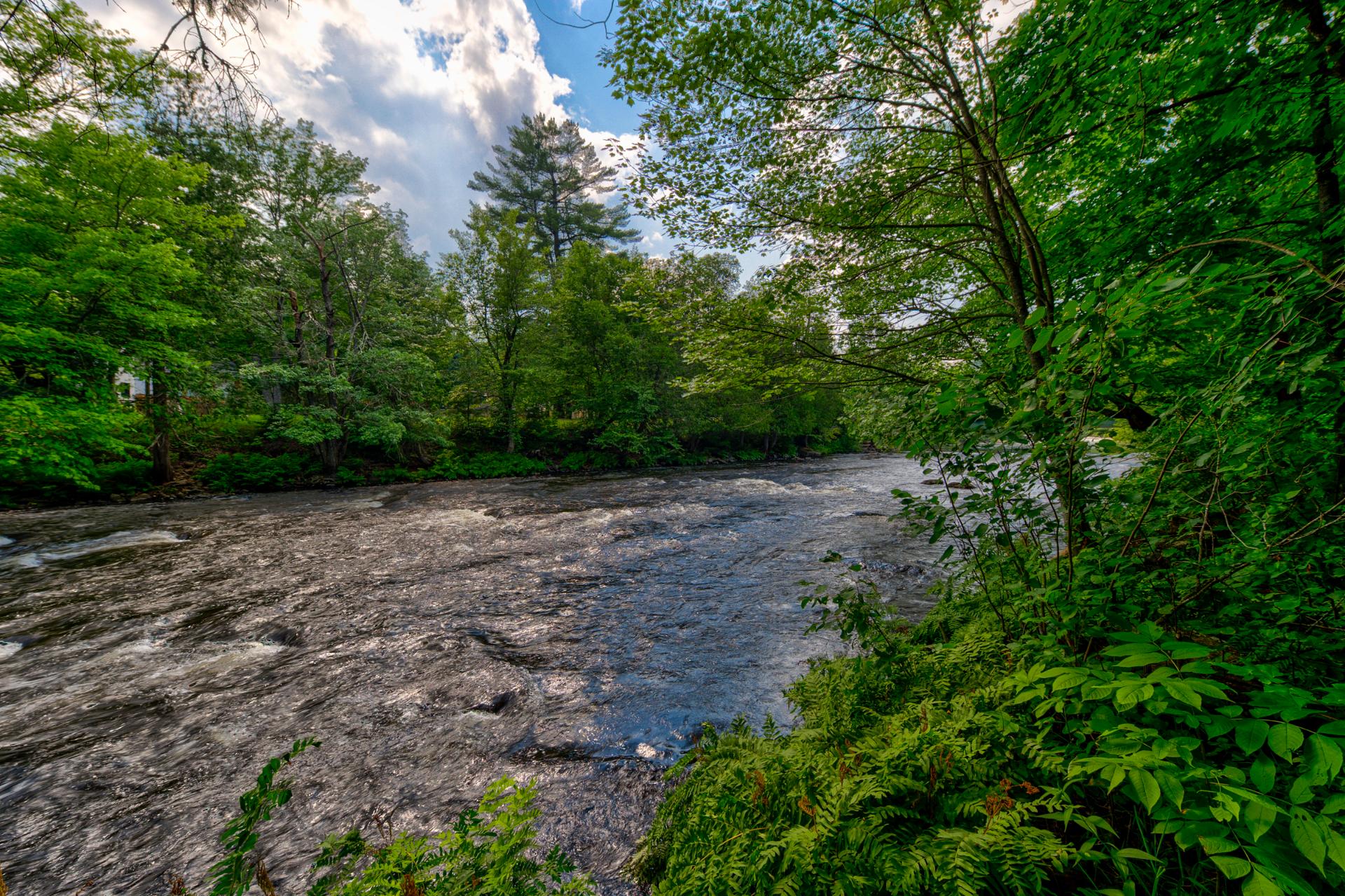 Photo - Bord de l'eau