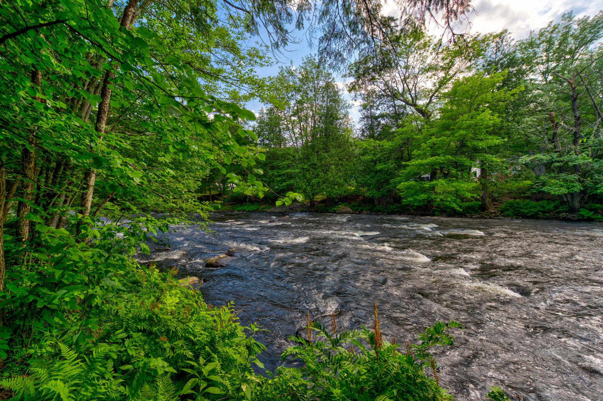 Photo - Bord de l'eau