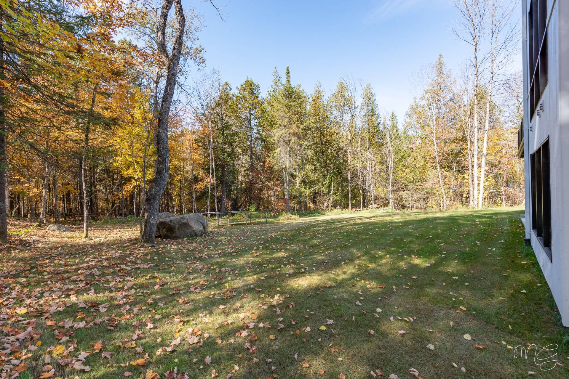 Photo - Terre/Terrain