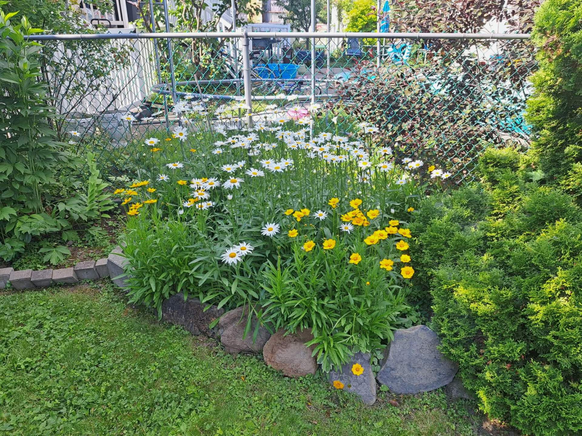 Jardin