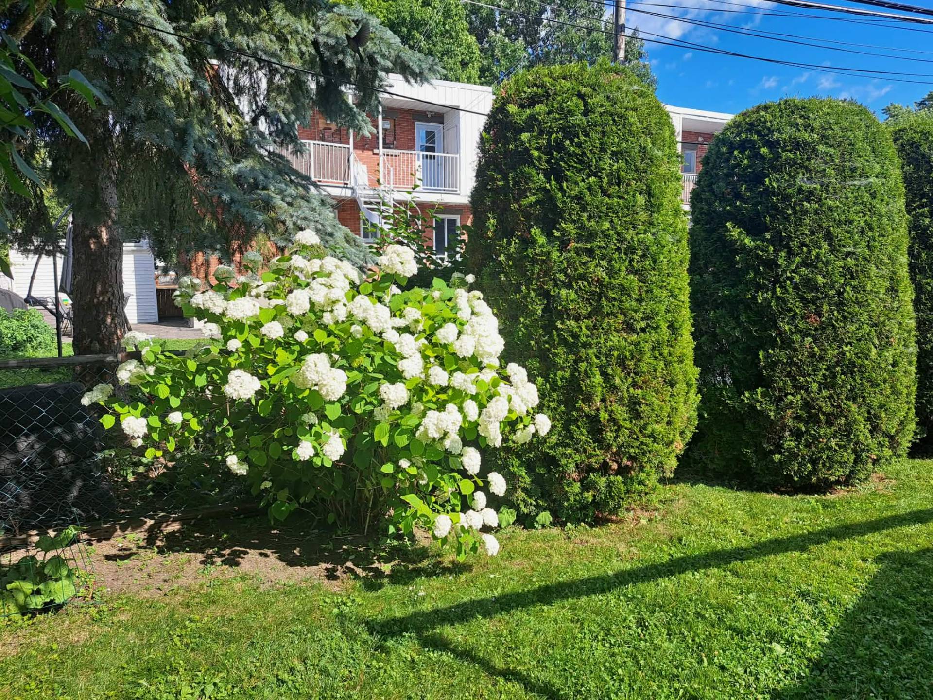 Jardin