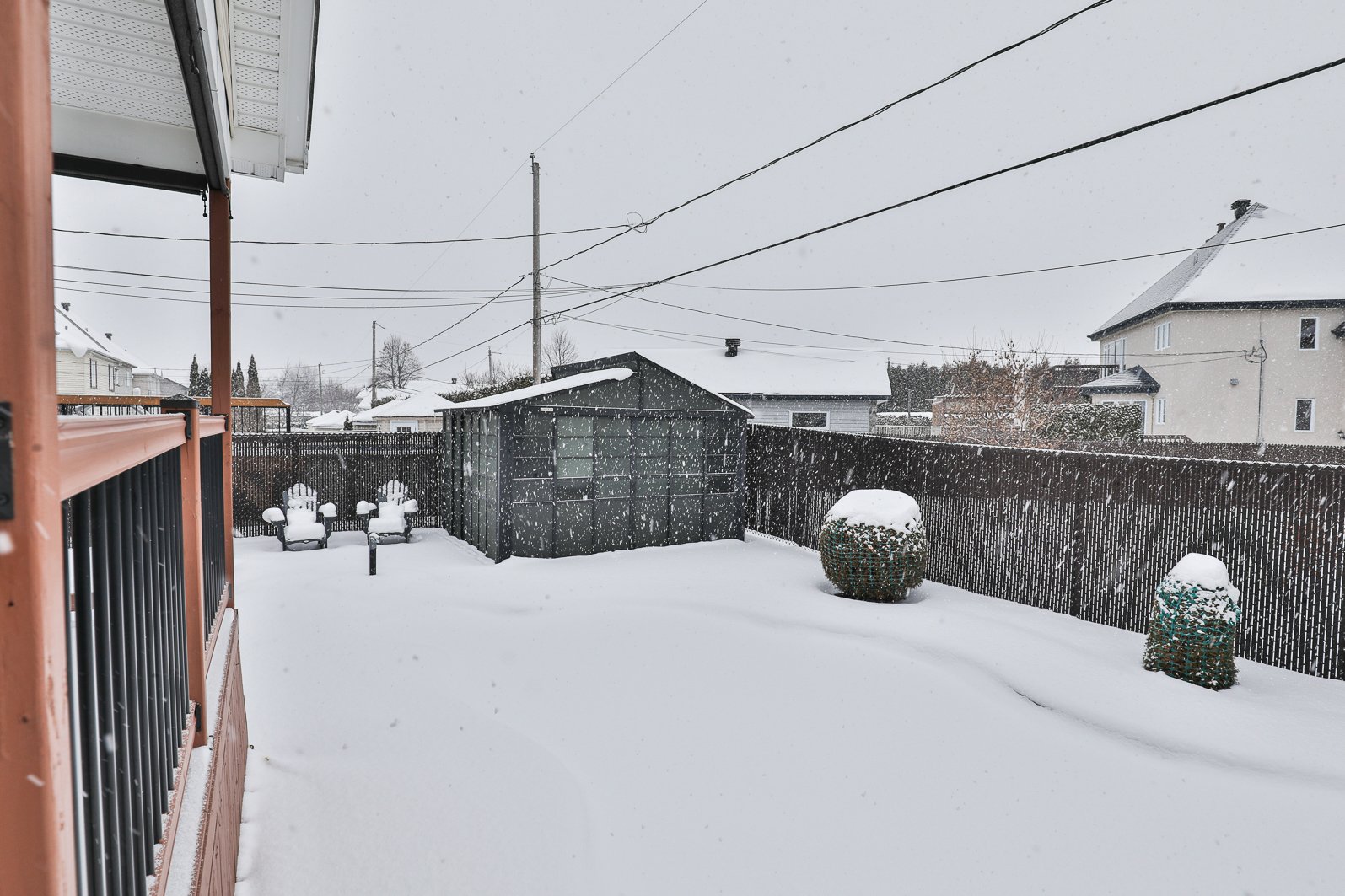 Backyard