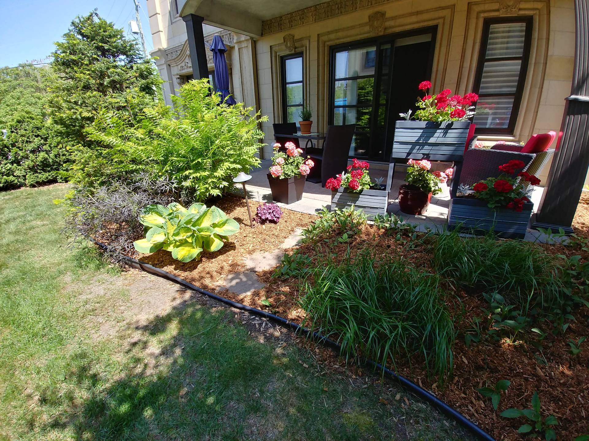 Patio