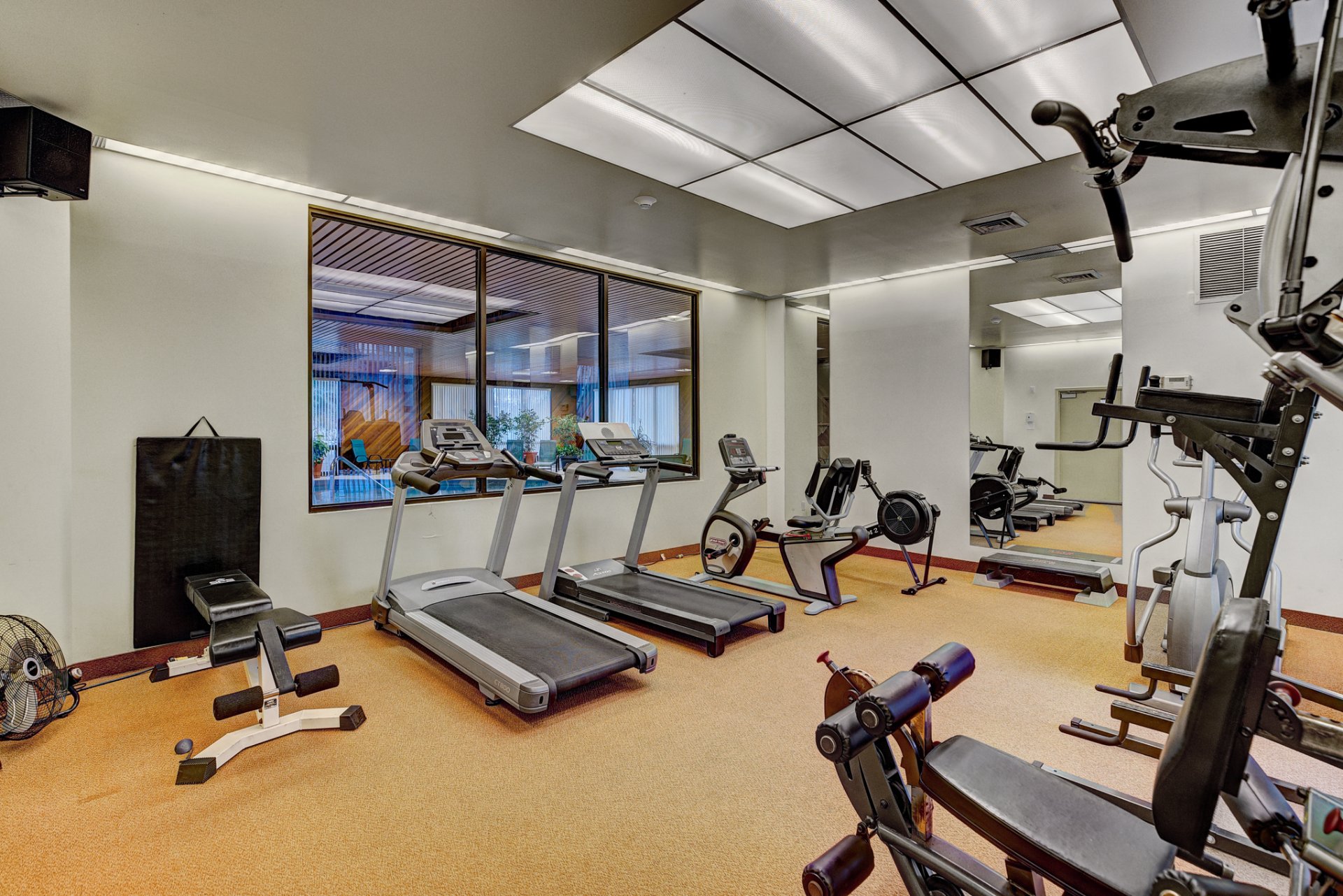 Photo -  Salle d'exercice