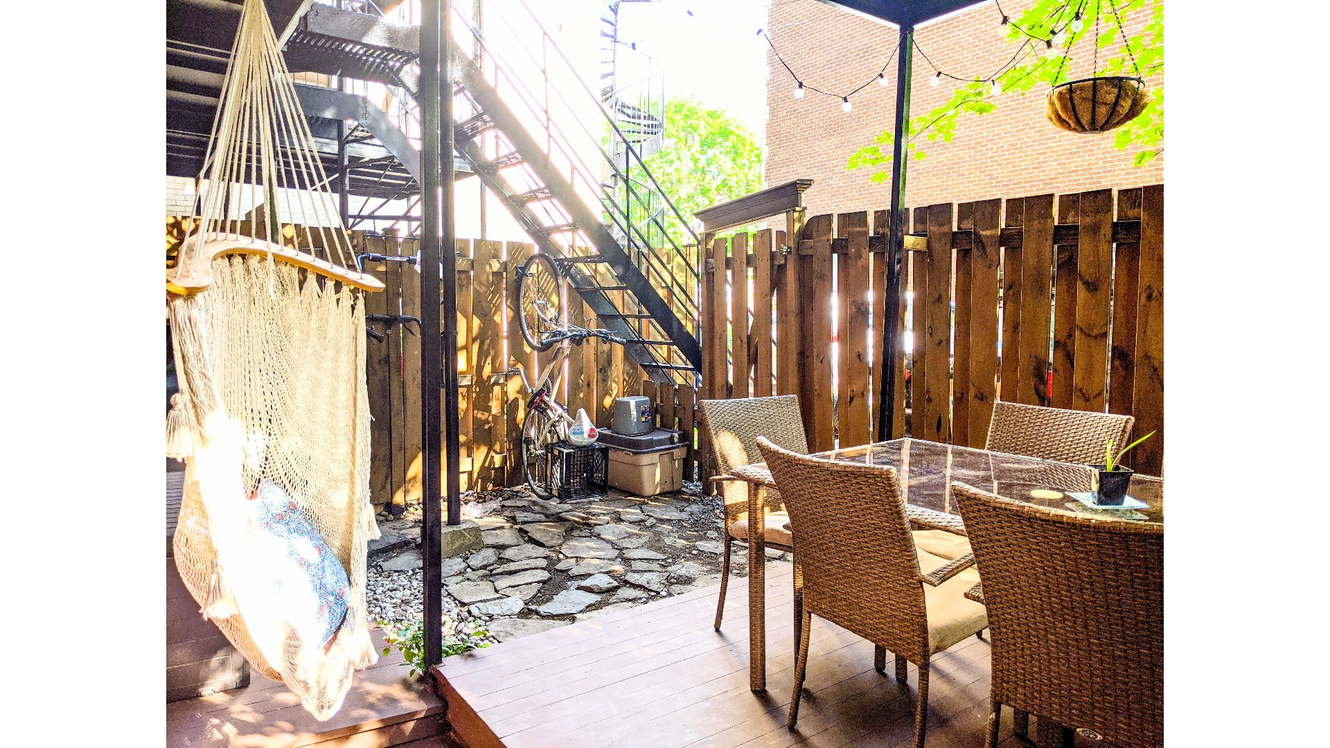 Photo - Backyard