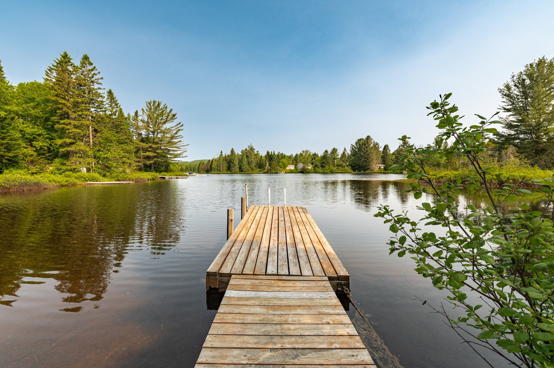 Photo - Bord de l'eau