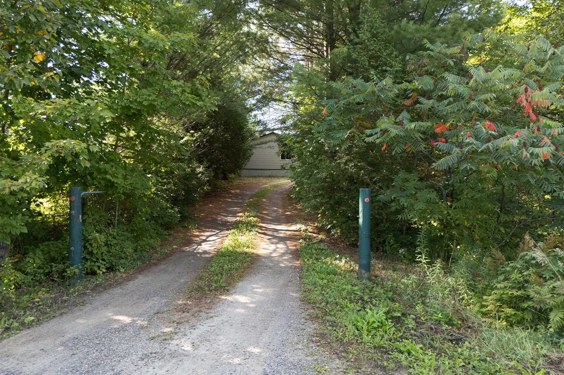 Photo - Boisé