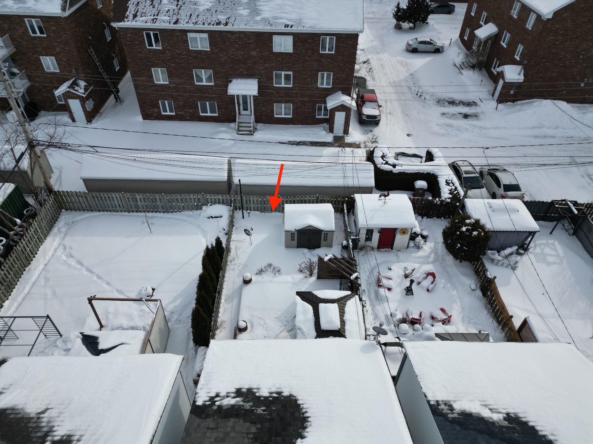 Photo - Backyard