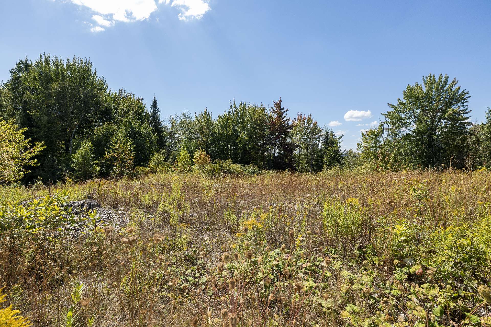 Photo - Terre/Terrain