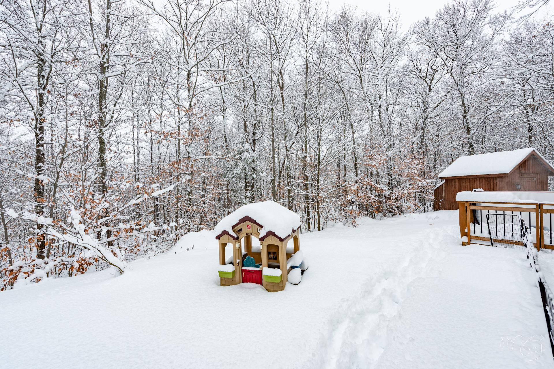 Photo - Terre/Terrain