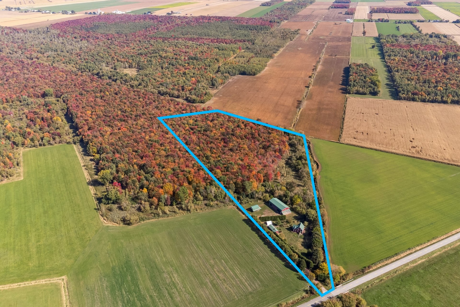 Photo - Aerial photo