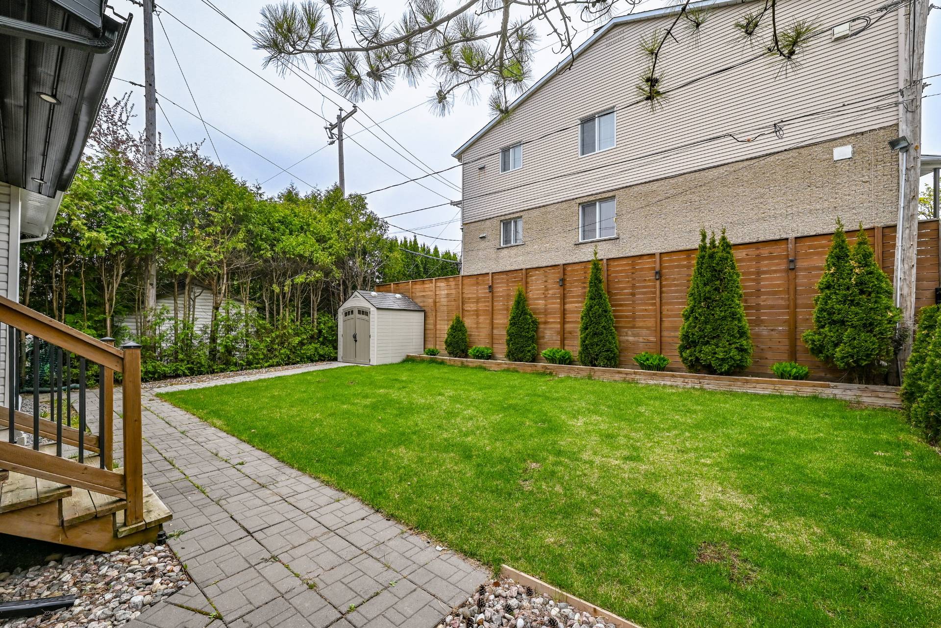 Photo - Backyard