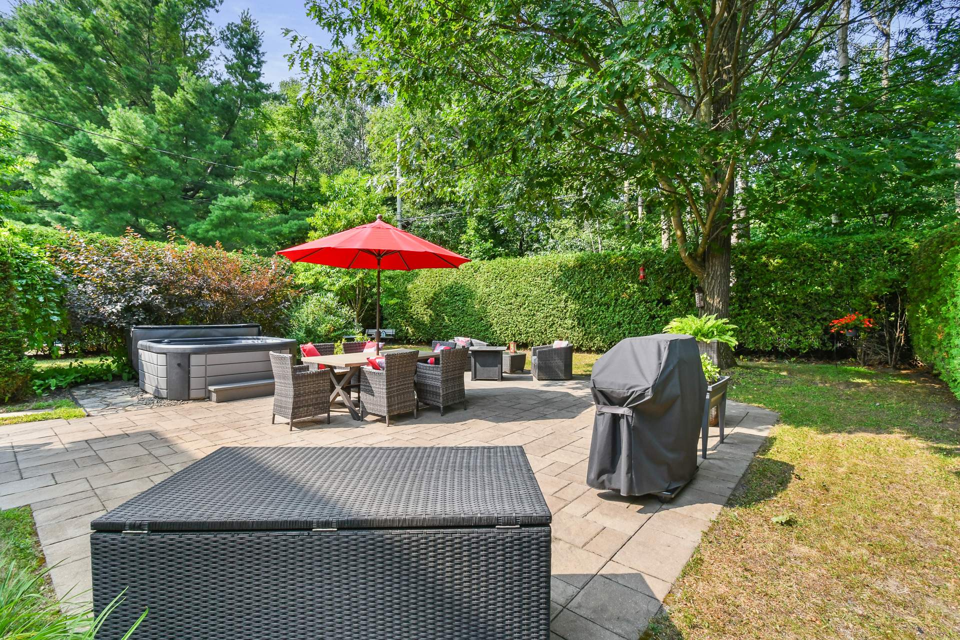 Backyard
