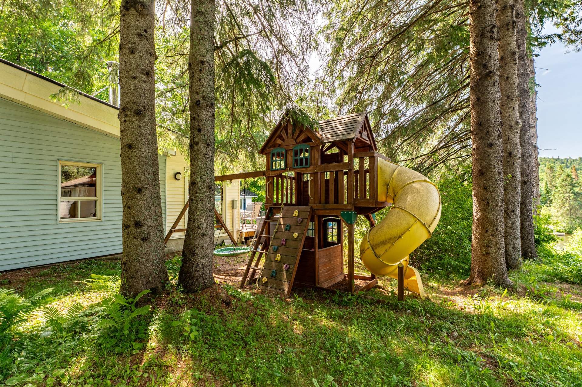 Photo - Backyard