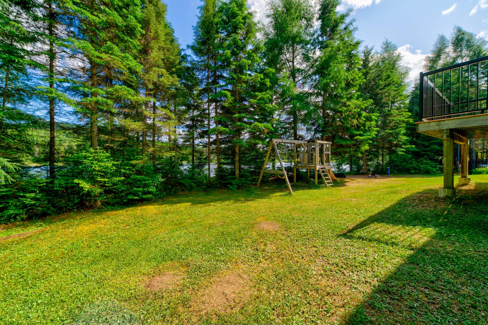 Photo - Backyard