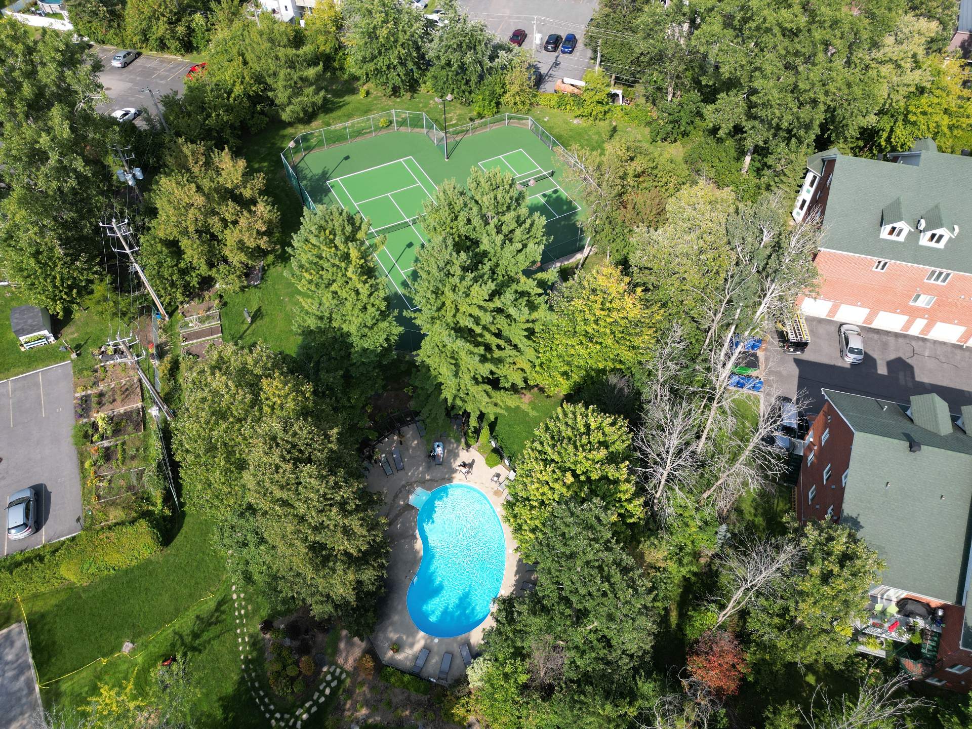Photo - Aerial photo