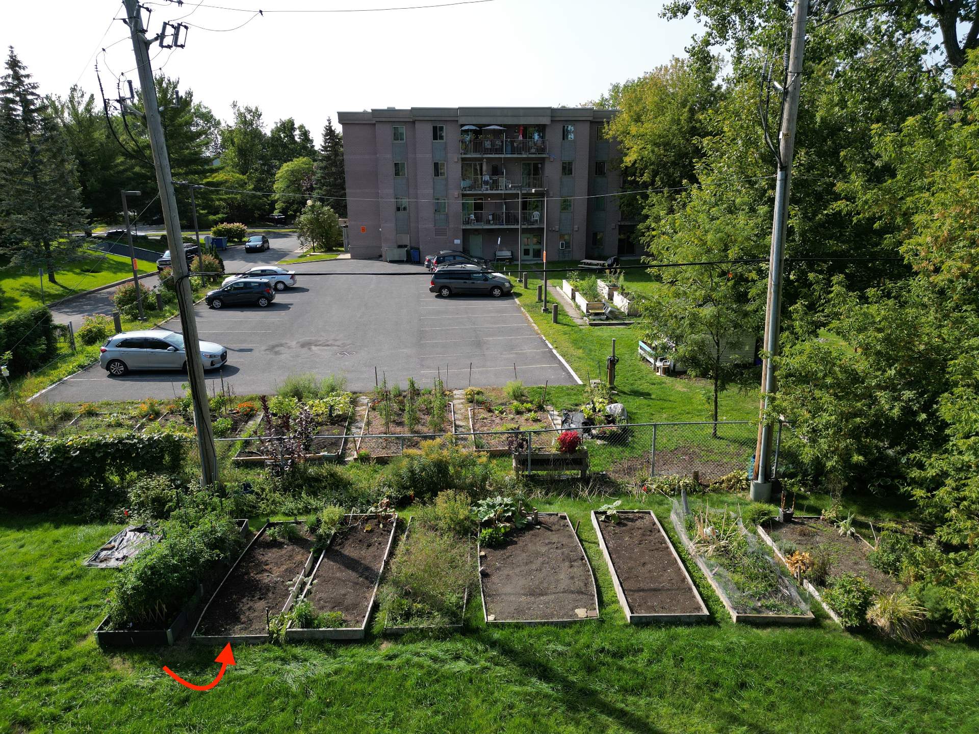 Photo - Garden