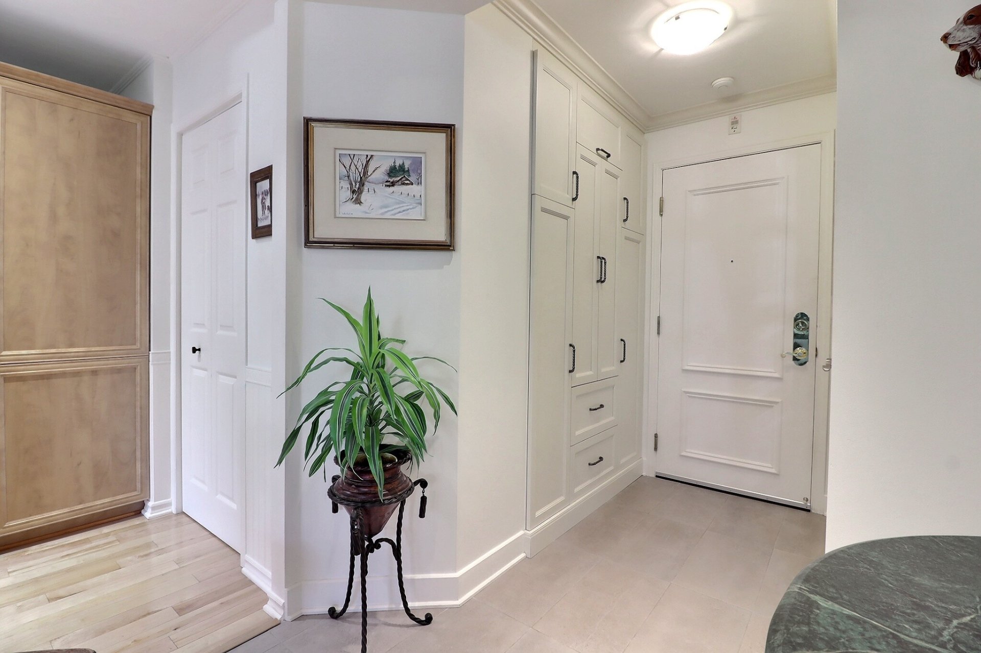 Photo - Hallway