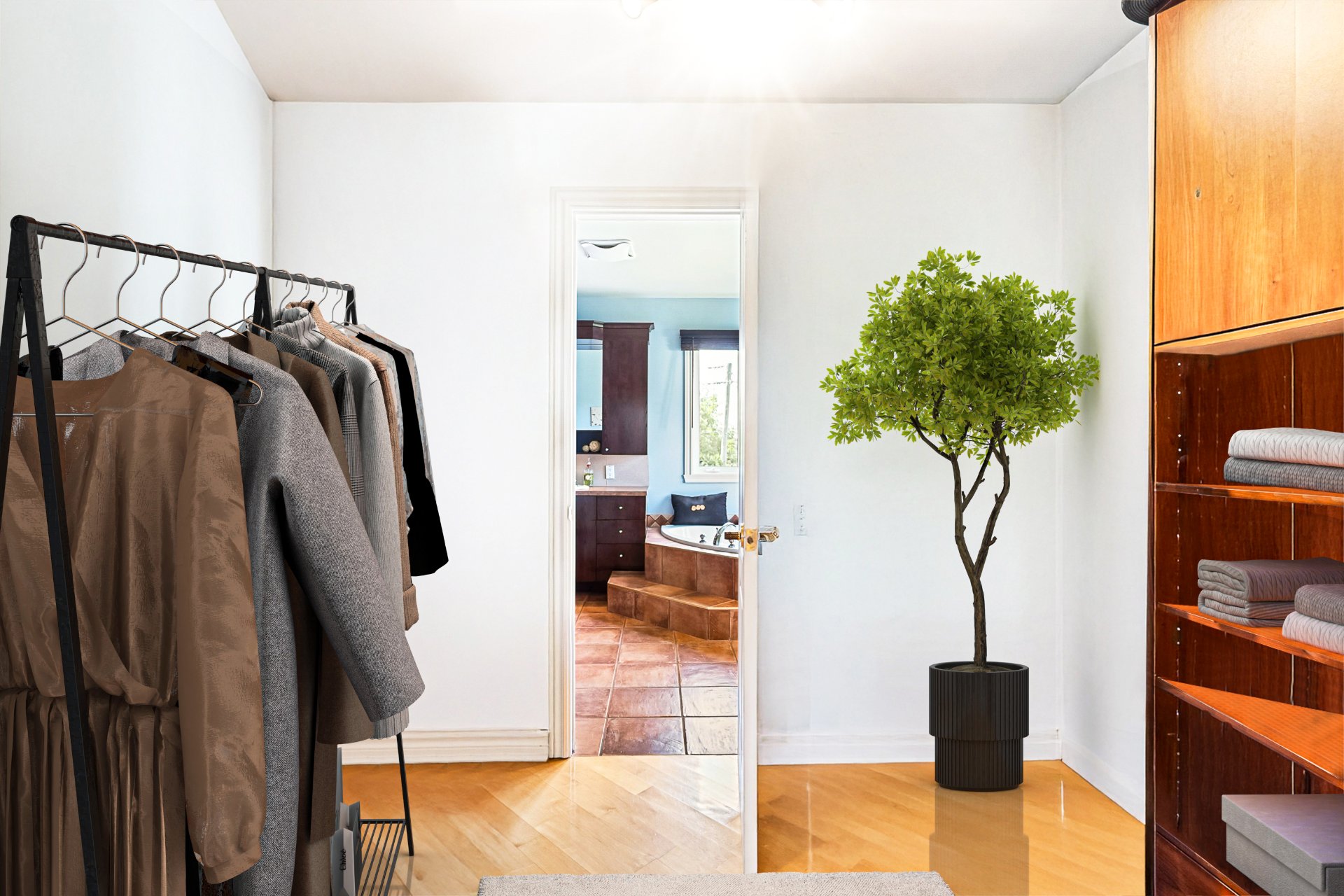 Penderie (Walk-in)