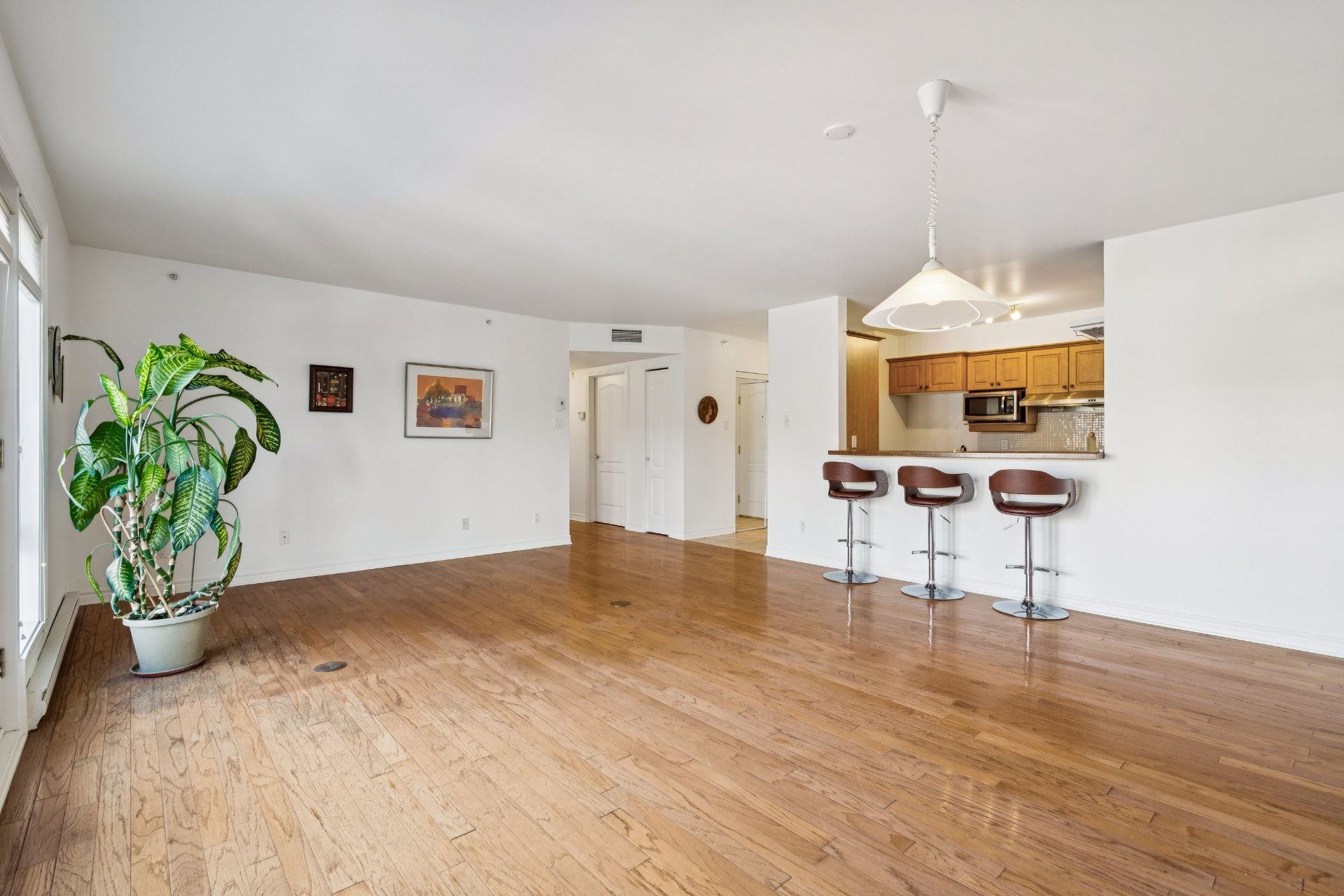 Photo - Vue d'ensemble