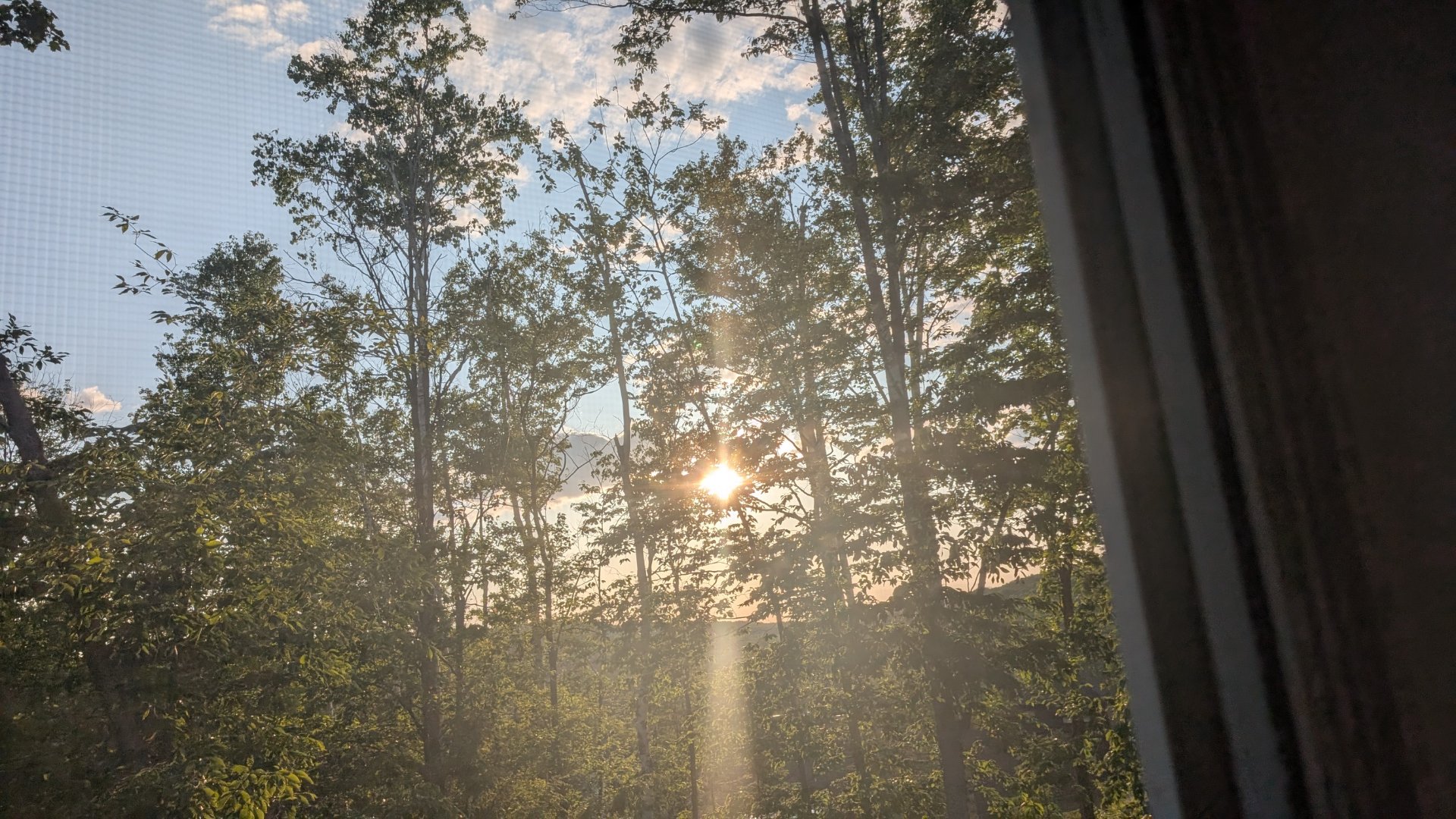 View